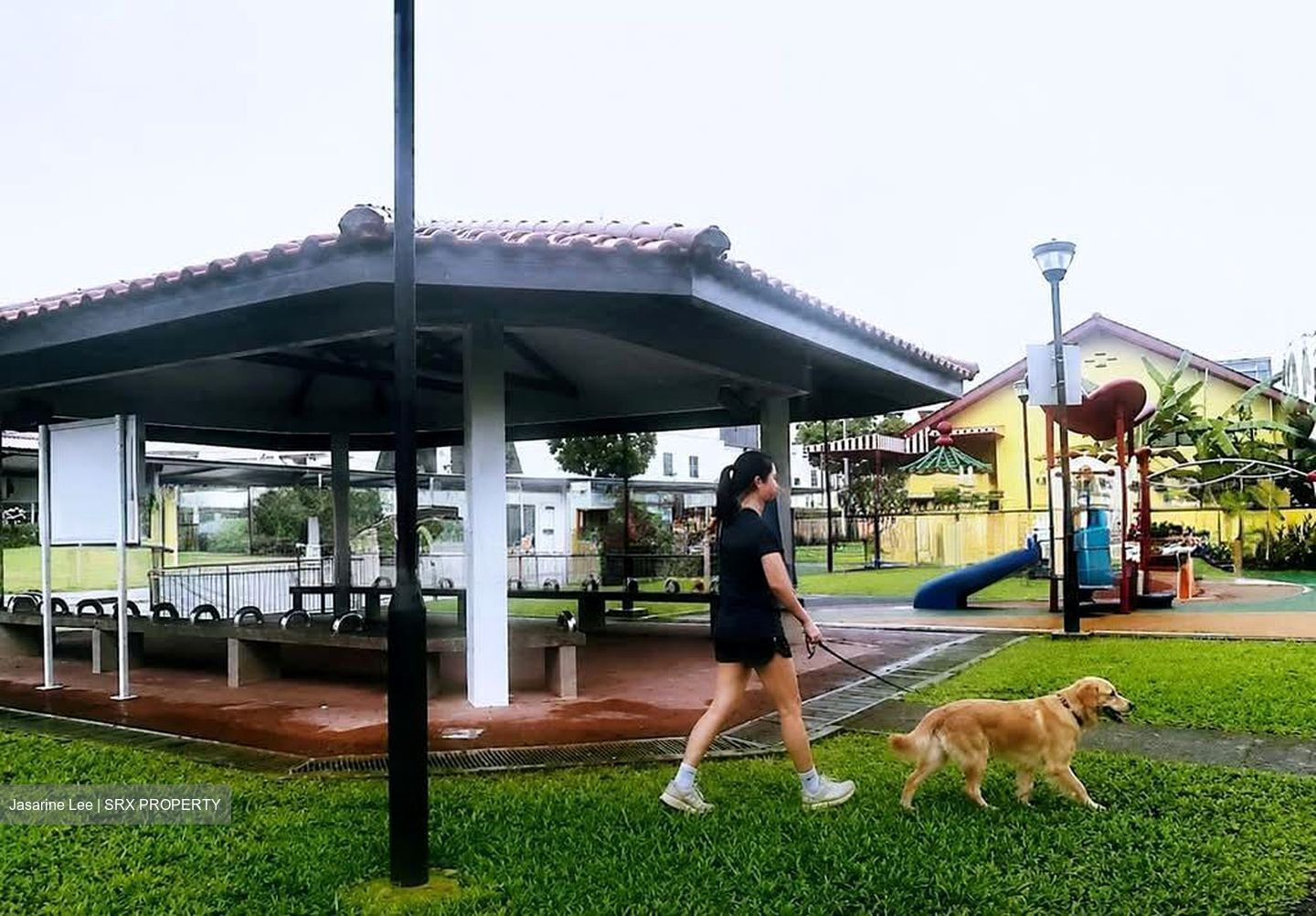 Thomson Park (D20), Terrace #574523641
